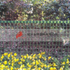 2X15FT flexible green plastic square mesh for garden plants protection